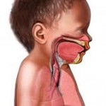 Aparato respiratorio del niño
